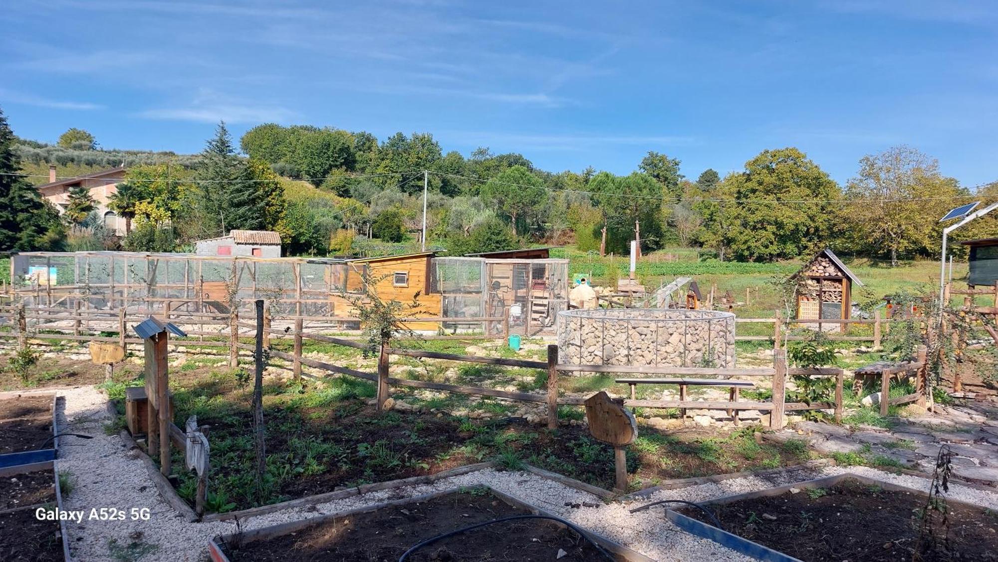Il Poggio Degli Antichi Sapori Villa Paternopoli Bagian luar foto