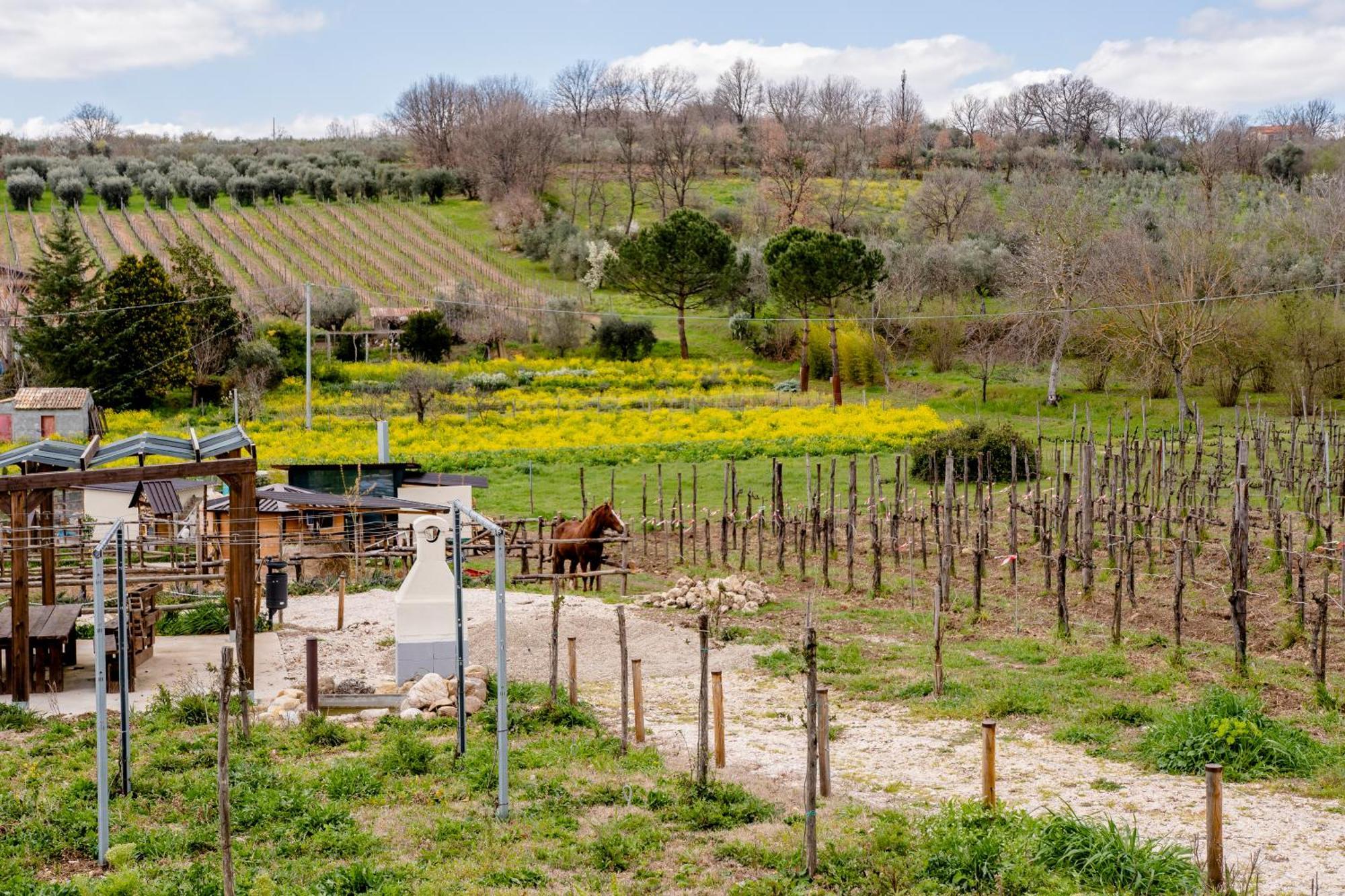 Il Poggio Degli Antichi Sapori Villa Paternopoli Bagian luar foto